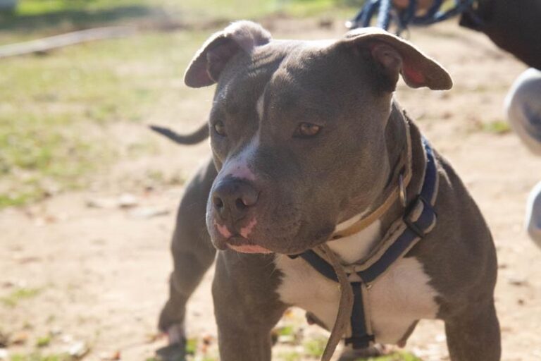 multimedia-foto61171-56-1