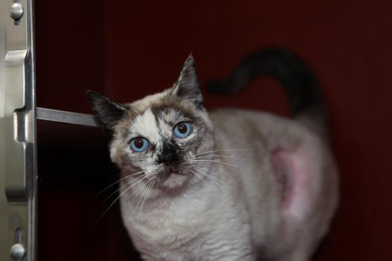 multimedia-foto61173-667-1