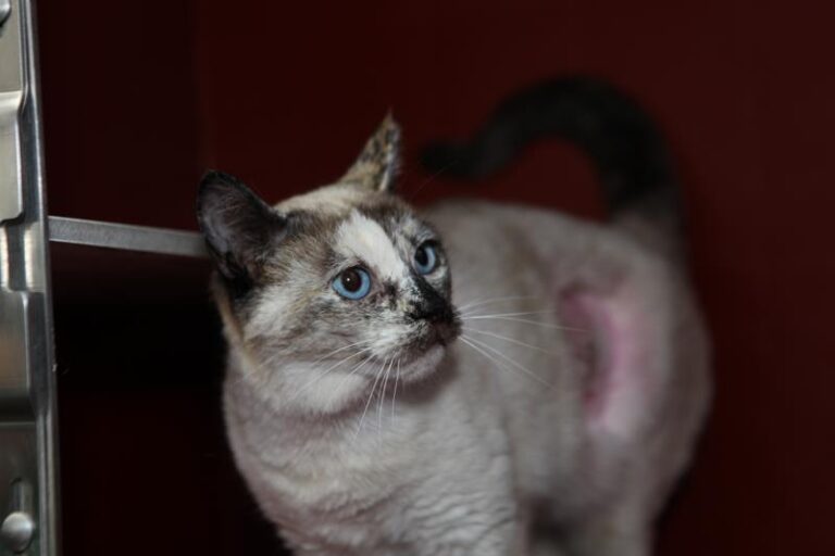 multimedia-foto61174-667-1