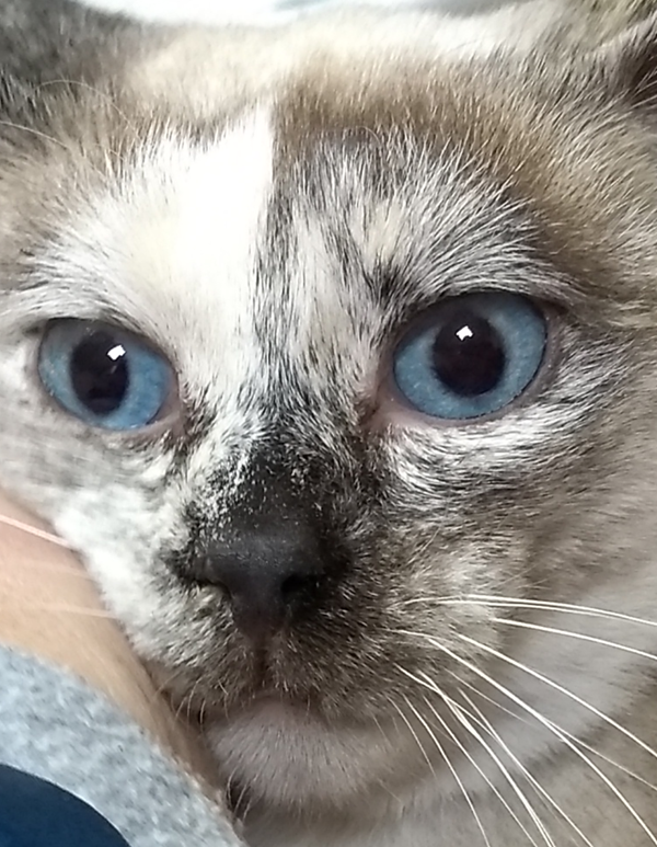 multimedia-foto61176-91-1