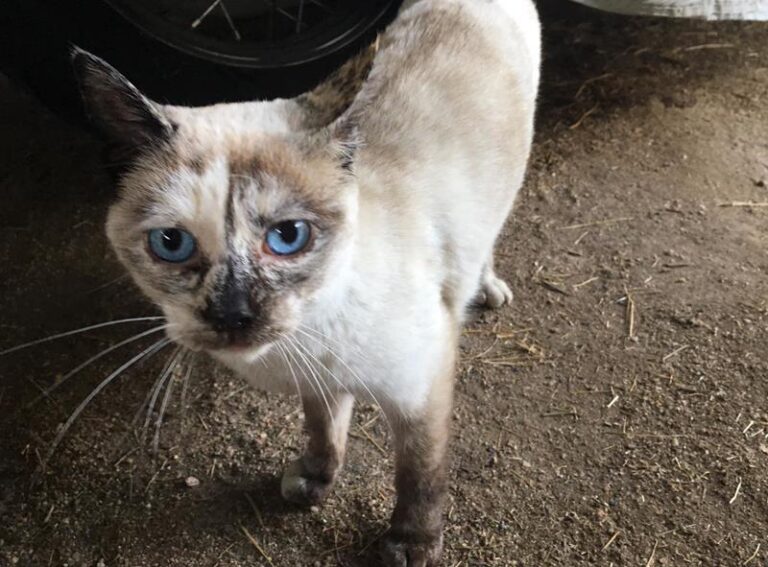 multimedia-foto61178-92-1