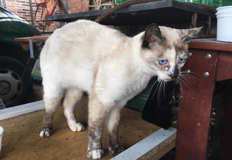 multimedia-foto61179-92-1