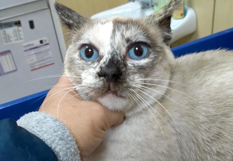 multimedia-foto61180-92-1