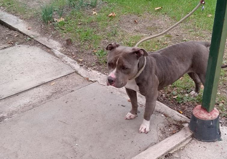 multimedia-foto61191-226-1