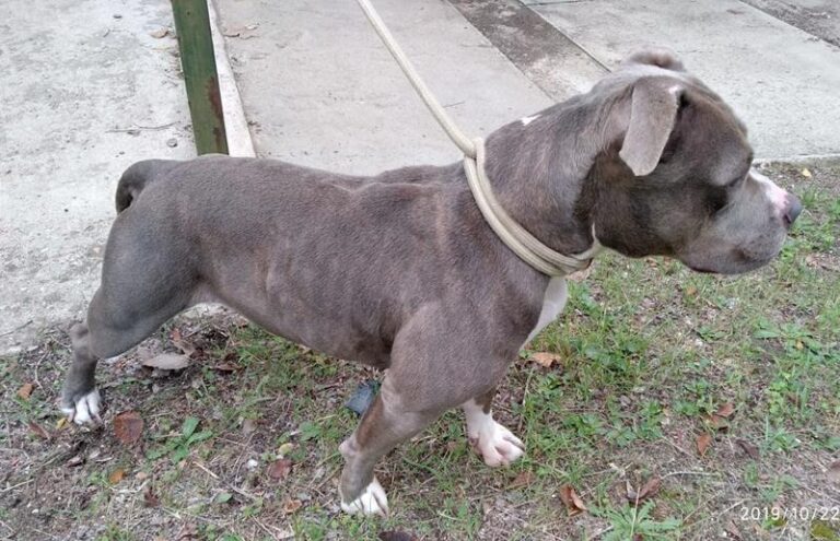 multimedia-foto61192-226-1