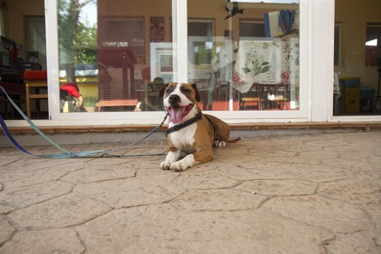 multimedia-foto61196-687-1