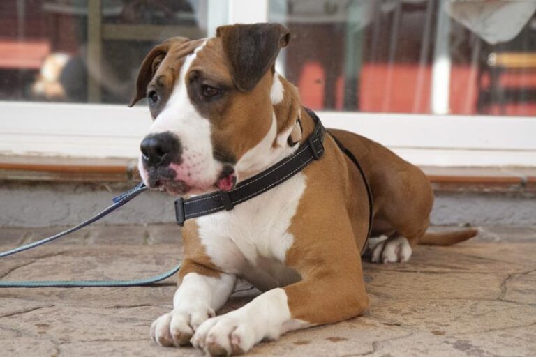 multimedia-foto61197-687-1