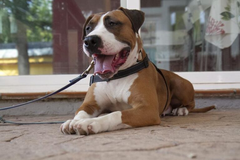 multimedia-foto61198-687-1