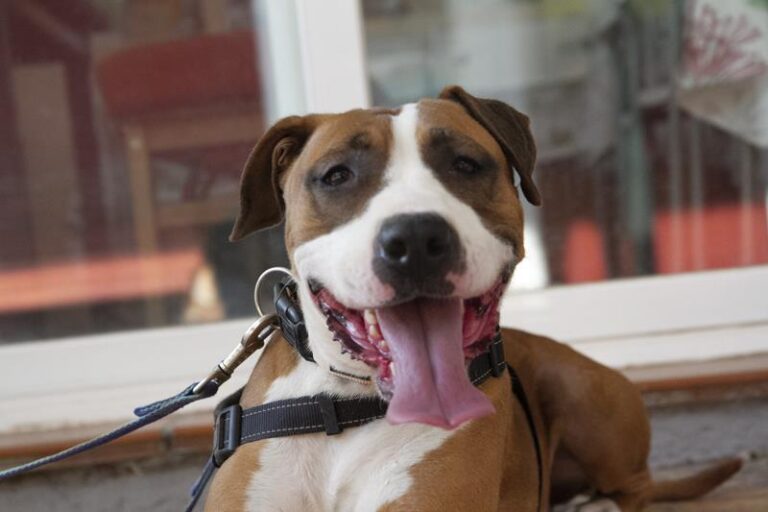 multimedia-foto61199-688-1