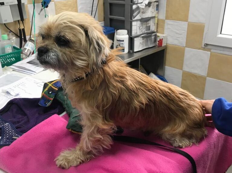 multimedia-foto61201-384-1