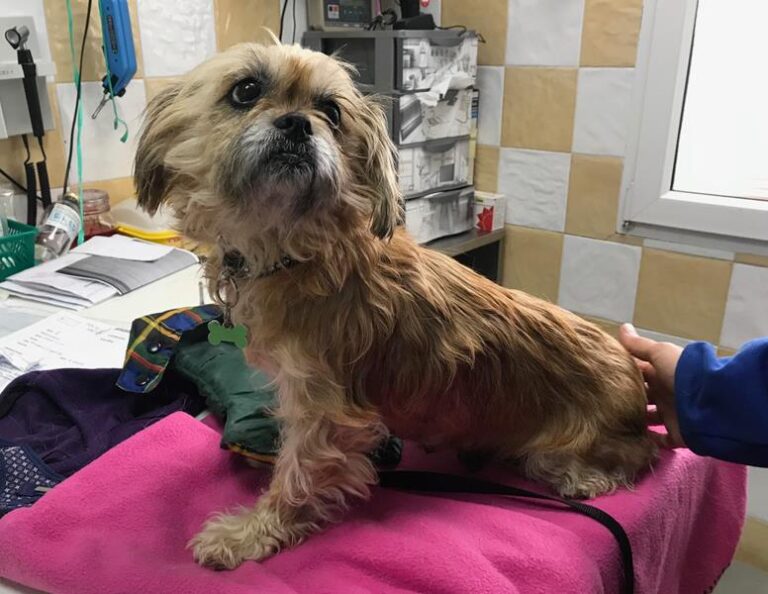 multimedia-foto61202-384-1