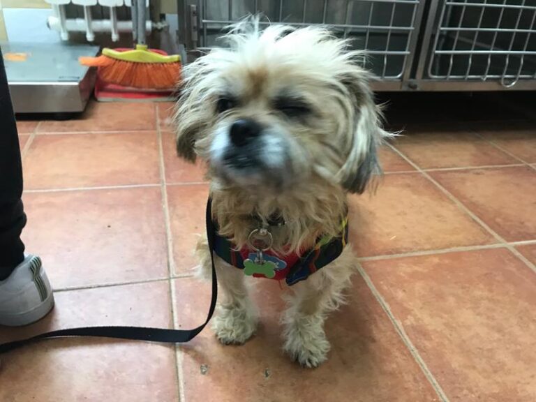 multimedia-foto61204-385-1