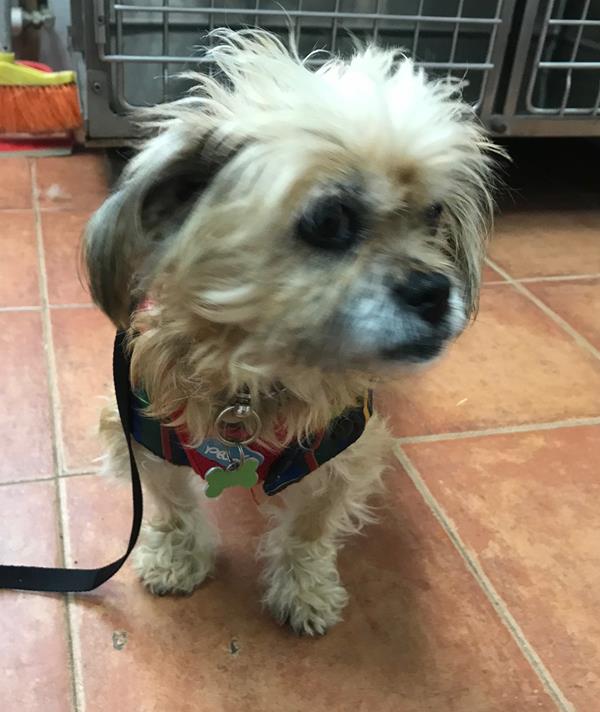 multimedia-foto61205-385-1