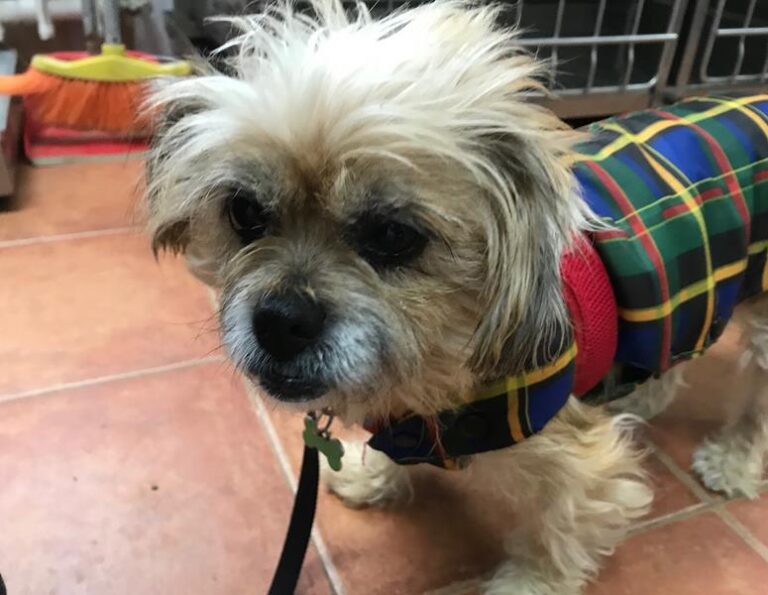 multimedia-foto61206-385-1