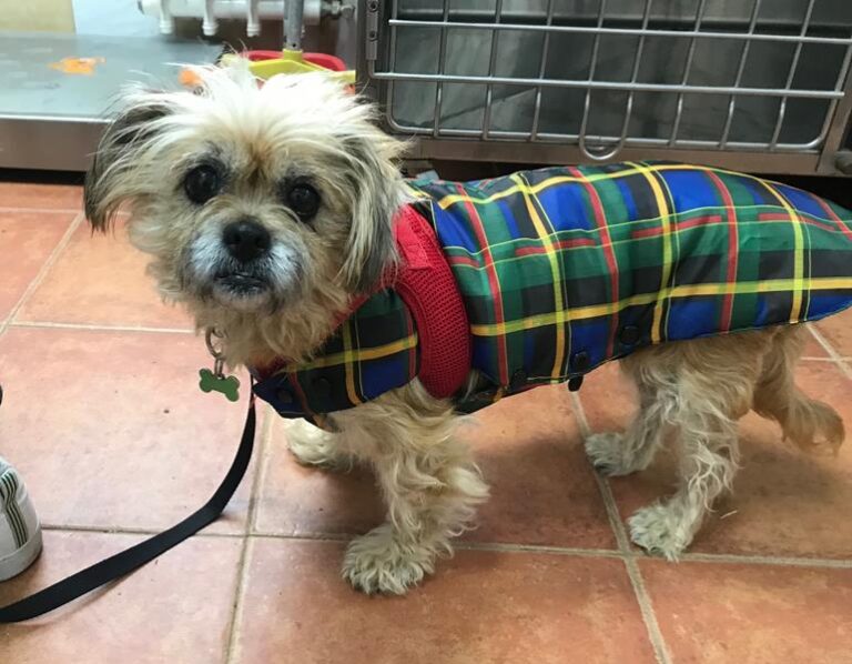 multimedia-foto61207-385-1