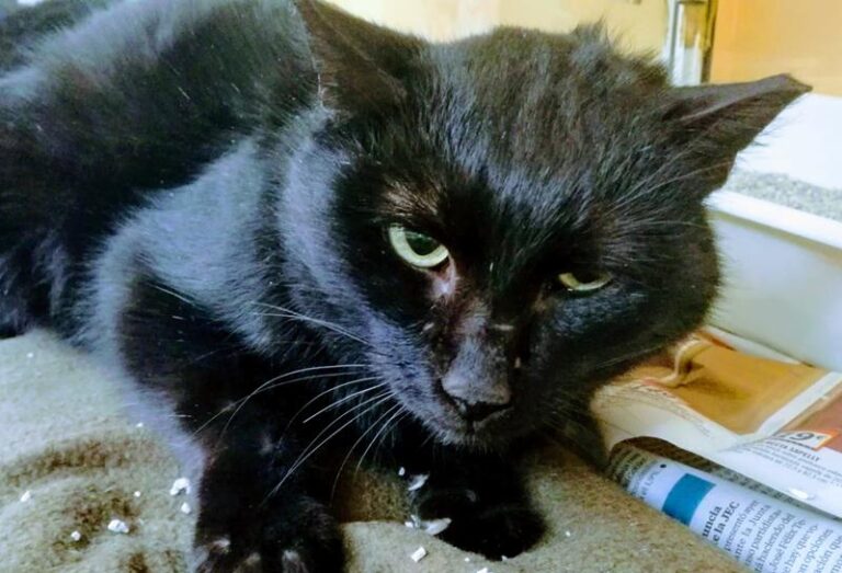 multimedia-foto61253-533-1