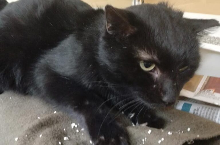 multimedia-foto61254-533-1