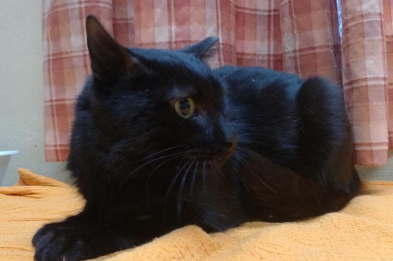 multimedia-foto61255-533-1