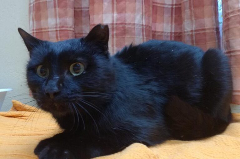 multimedia-foto61256-534-1