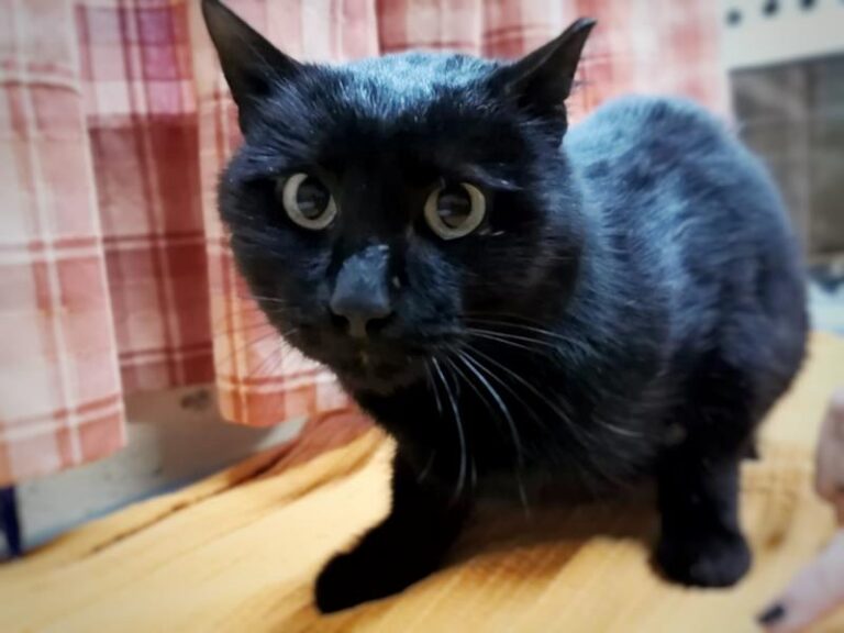 multimedia-foto61257-534-1