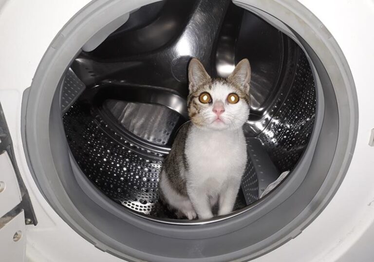 multimedia-foto61288-962-1