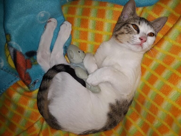 multimedia-foto61291-962-1