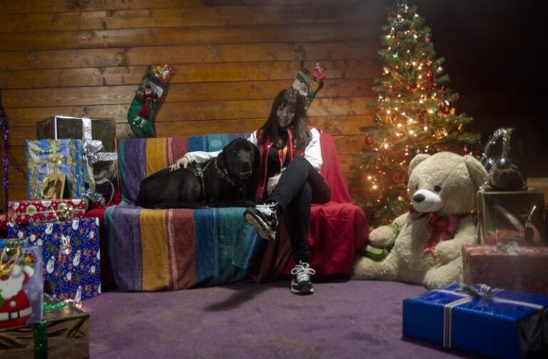 multimedia-foto61295-684-1