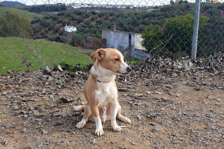 multimedia-foto61314-677-1