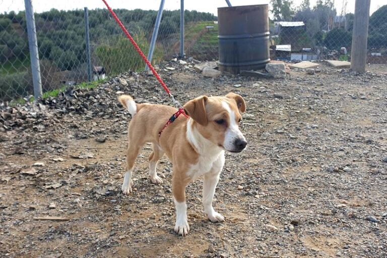 multimedia-foto61315-677-1