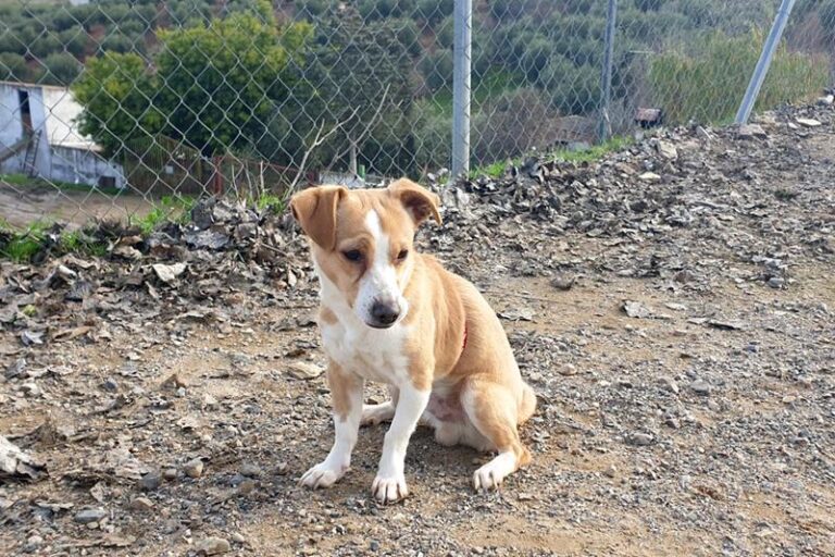 multimedia-foto61317-678-1