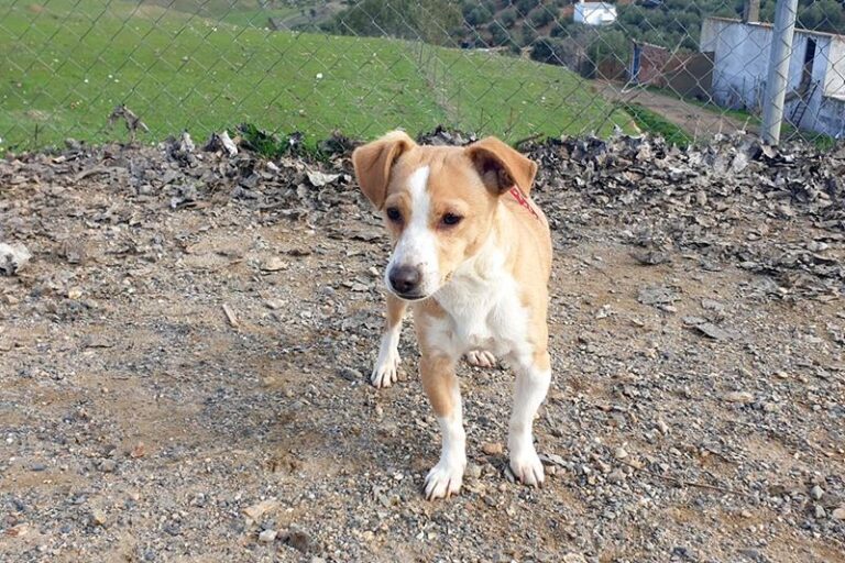 multimedia-foto61318-678-1