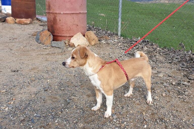 multimedia-foto61320-678-1