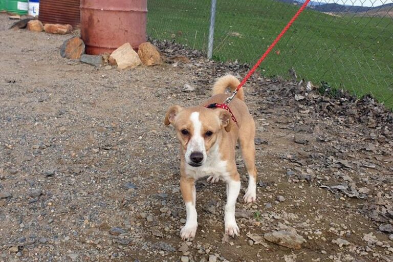 multimedia-foto61321-678-1