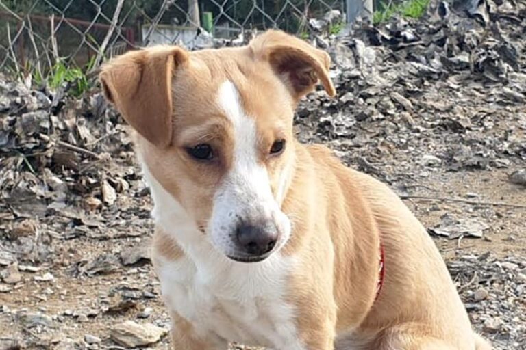 multimedia-foto61322-678-1