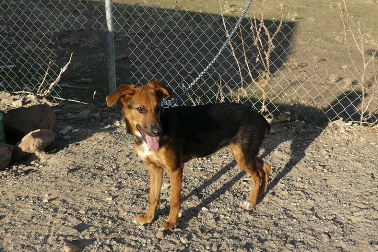 multimedia-foto61323-93-1