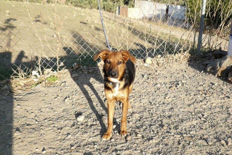 multimedia-foto61324-93-1