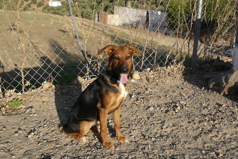 multimedia-foto61325-93-1