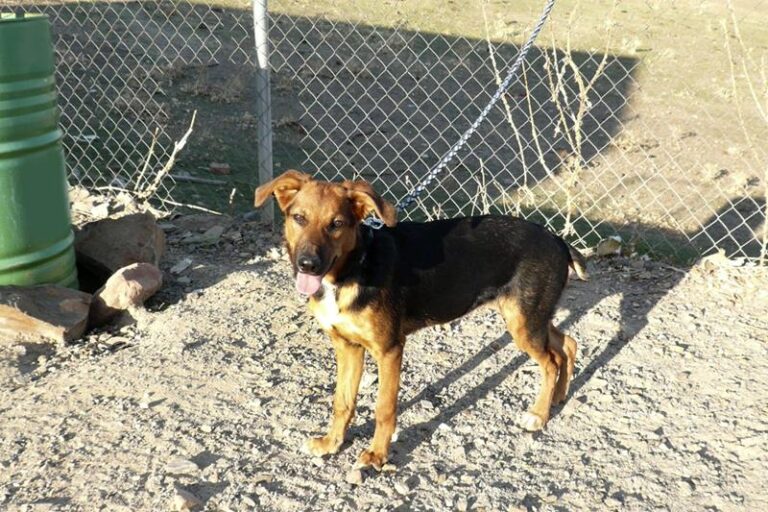 multimedia-foto61326-93-1