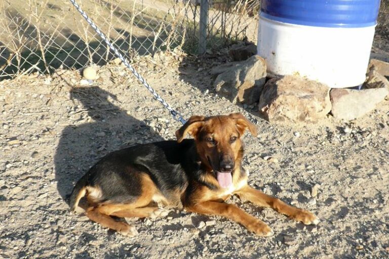 multimedia-foto61327-93-1