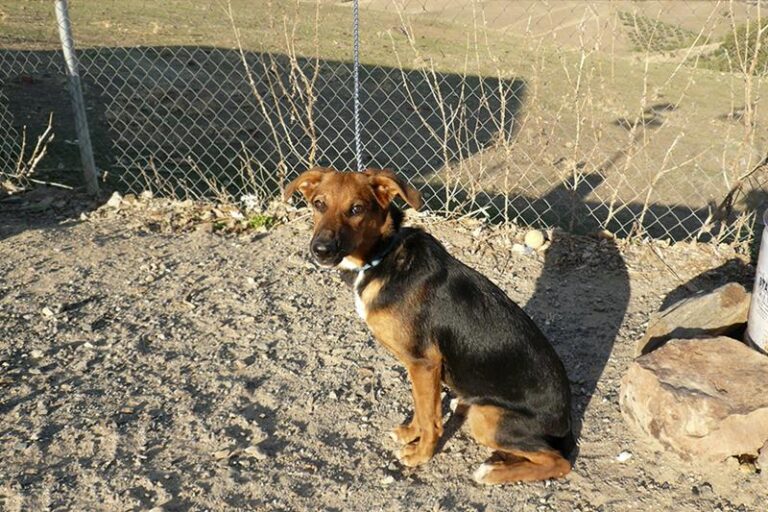 multimedia-foto61328-94-1