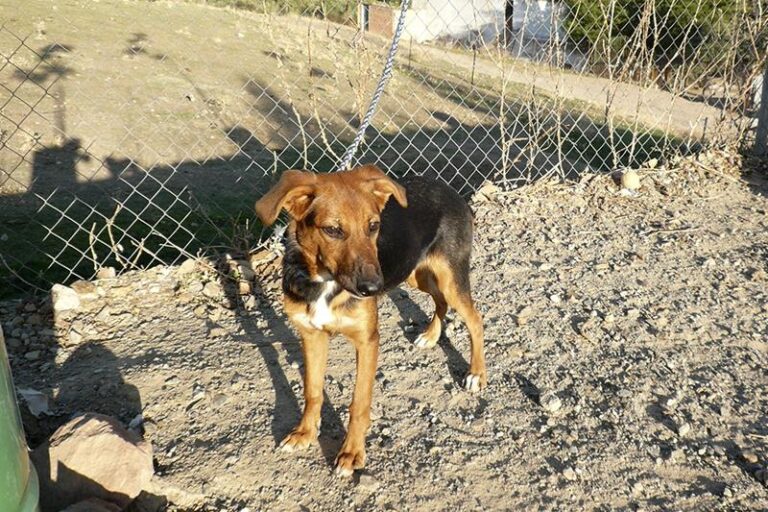 multimedia-foto61329-94-1