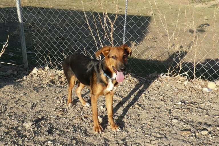 multimedia-foto61330-94-1