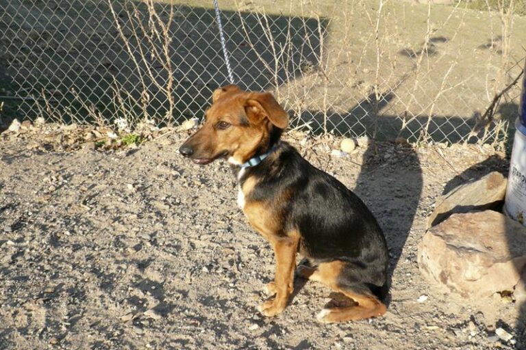 multimedia-foto61331-94-1