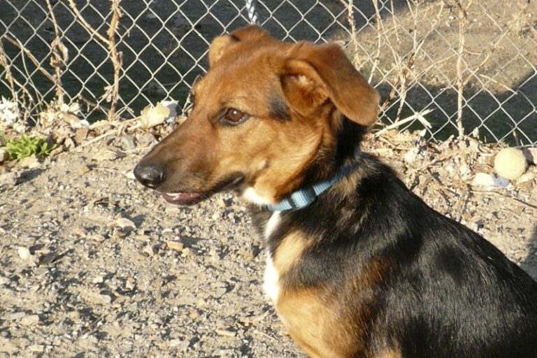 multimedia-foto61332-94-1