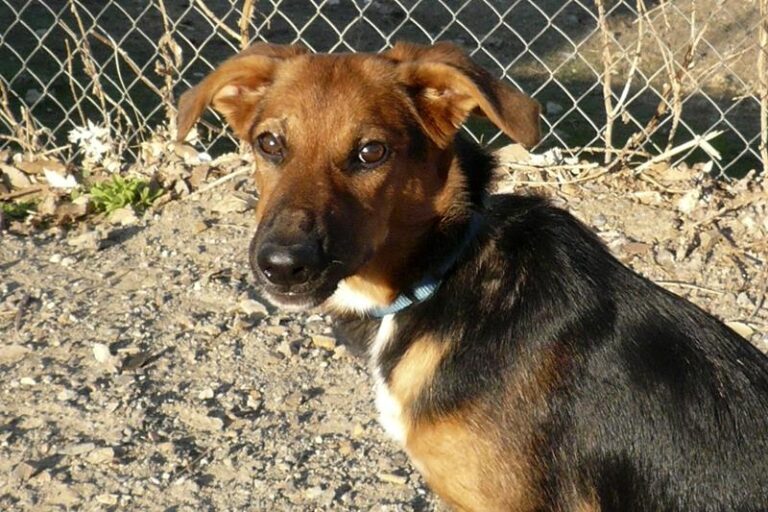 multimedia-foto61333-94-1