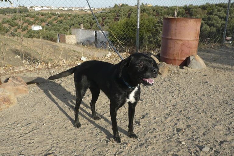 multimedia-foto61336-228-1