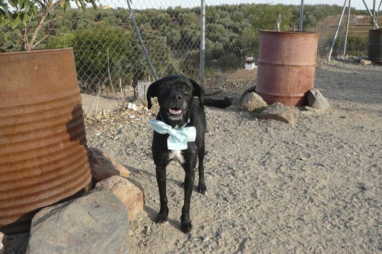 multimedia-foto61337-228-1