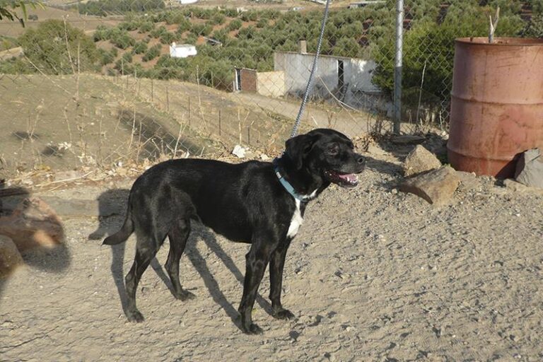 multimedia-foto61338-228-1