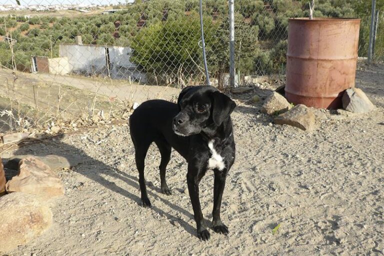 multimedia-foto61339-228-1