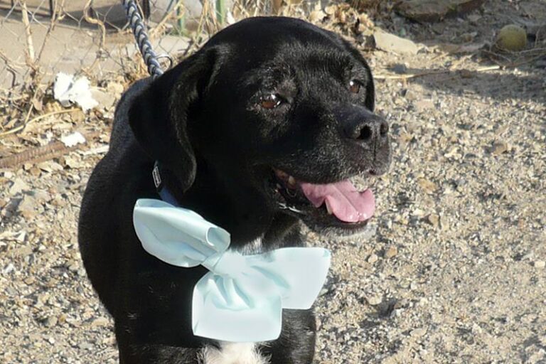 multimedia-foto61340-229-1